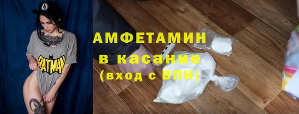крисы Абаза