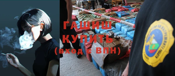 крисы Абаза
