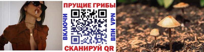 Галлюциногенные грибы GOLDEN TEACHER  гидра ССЫЛКА  Лосино-Петровский 